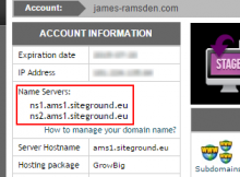 Where to copy DNS (domain name server) information from when setting up a new website