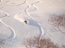 Skier skiing down Niseko, Hokkaido Japan